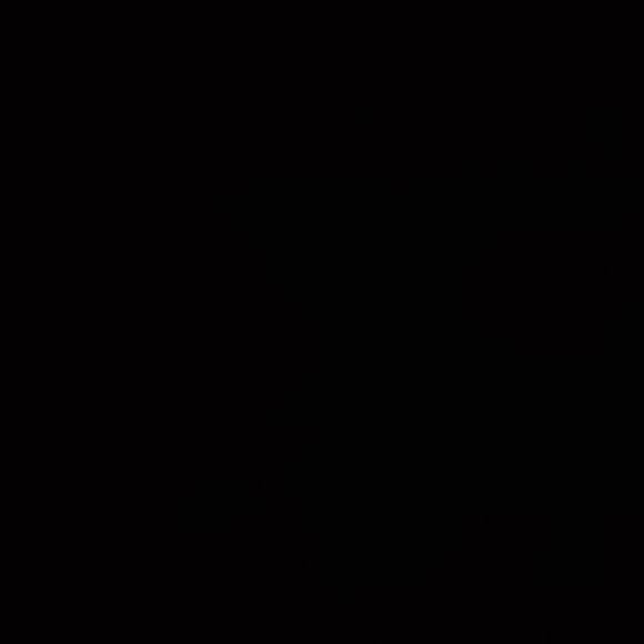 Meet your Posher, Wee - Picture 1 of 1